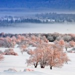 Group logo of Przemeblowujemy kuchnię